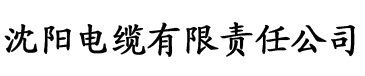 亚洲国产精品一区电缆厂logo